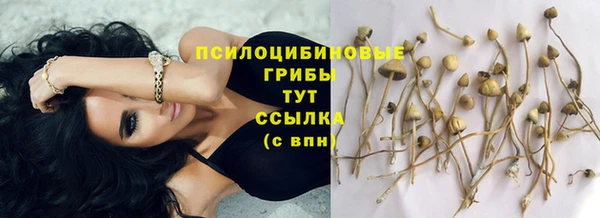 спайс Ладушкин