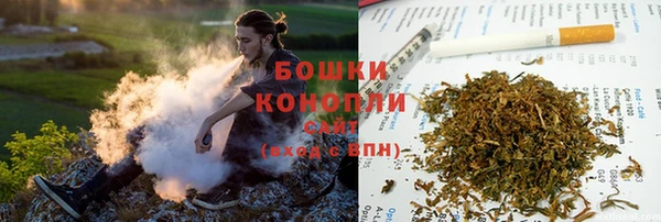 спайс Ладушкин