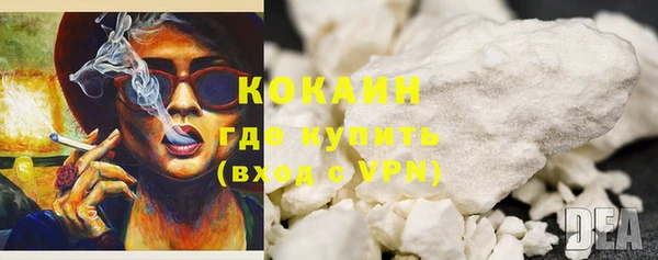 спайс Ладушкин