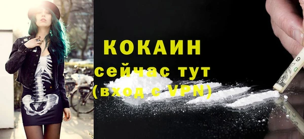 спайс Ладушкин