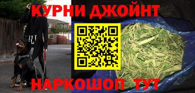 бошки Гагарин