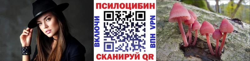 Галлюциногенные грибы Psilocybine cubensis наркотики Добрянка