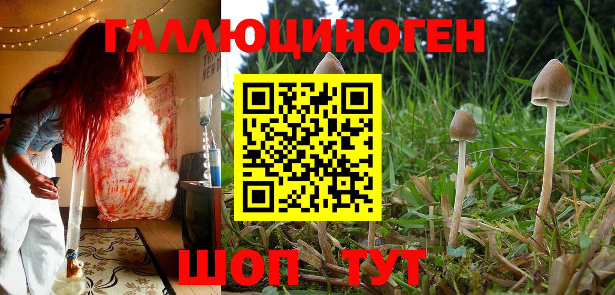 Псилоцибиновые грибы мухоморы  Галлюциногенные грибы GOLDEN TEACHER  Добрянка  Вход с VPN 