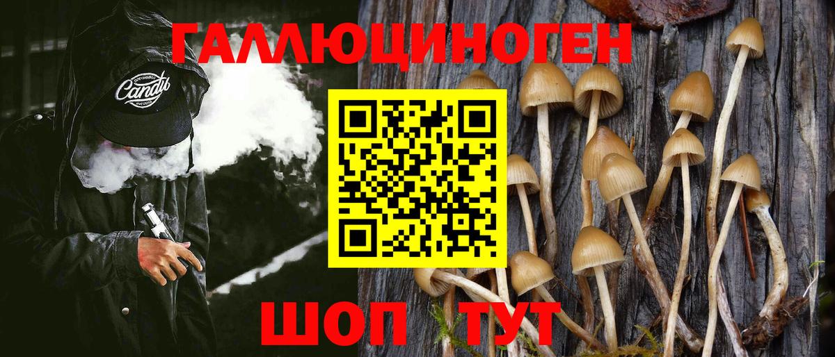 Псилоцибиновые грибы Cubensis Добрянка