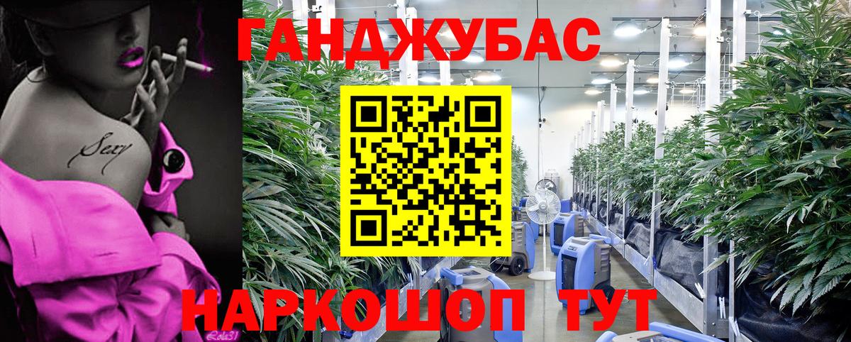 Бошки Шишки сатива Добрянка